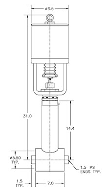 Cryogenic Valve Model C2121-A21